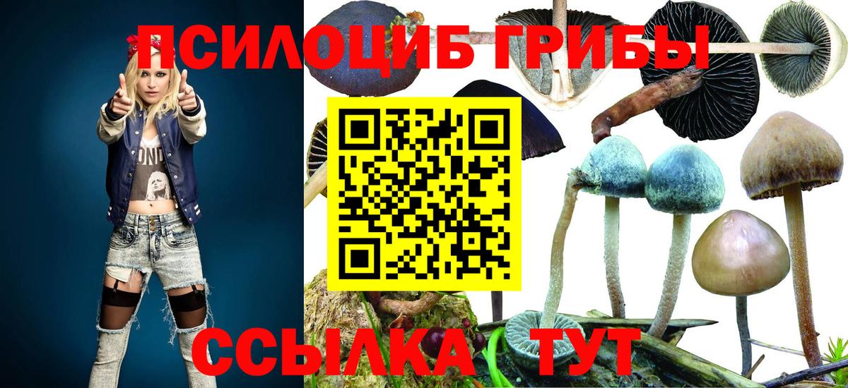 Псилоцибиновые грибы Psilocybe  Псилоцибиновые грибы MAGIC MUSHROOMS  сколько стоит  Вход с VPN  Красноармейск 